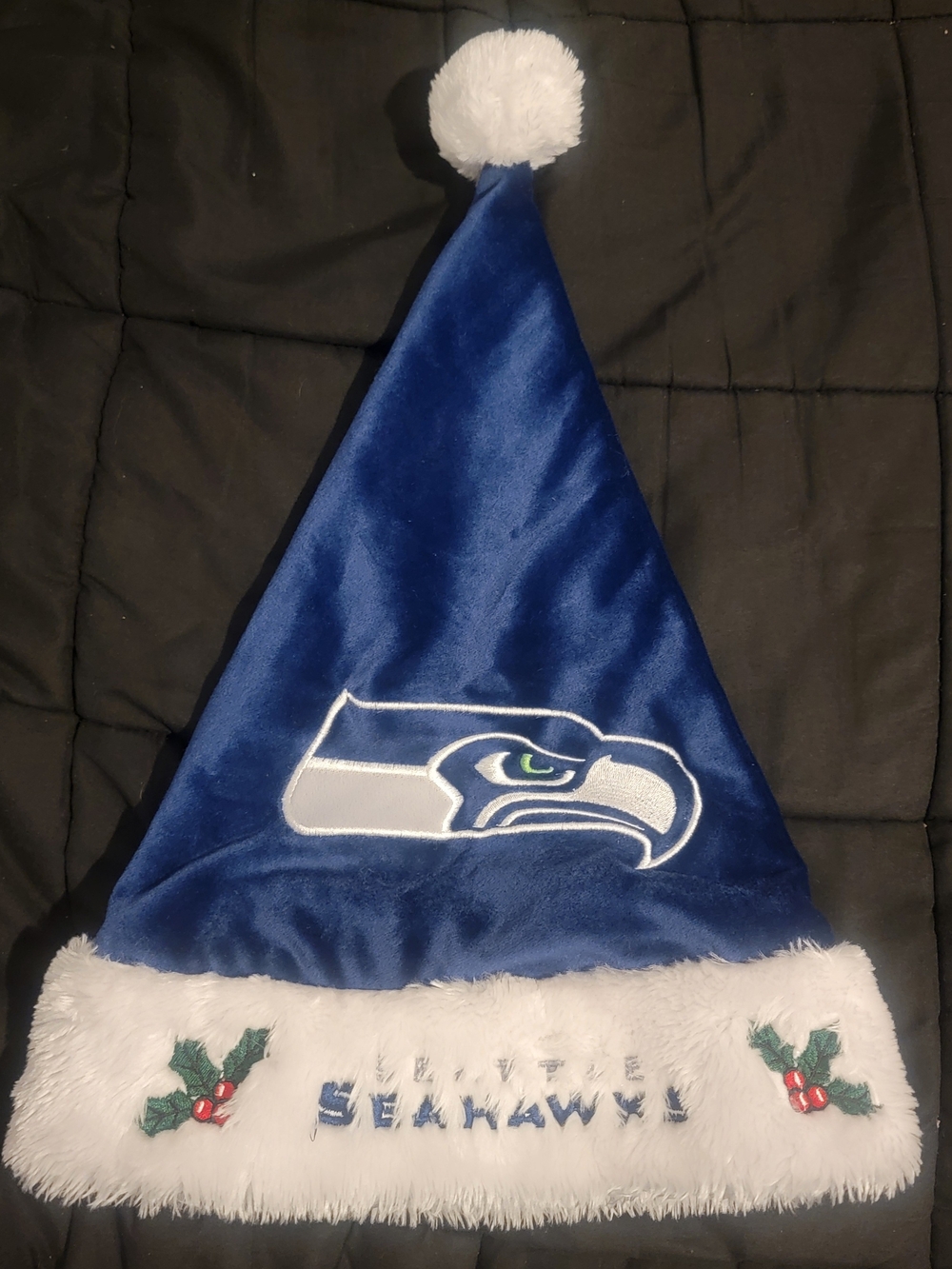 Blue Holiday Santa Hat - Official Team Logo